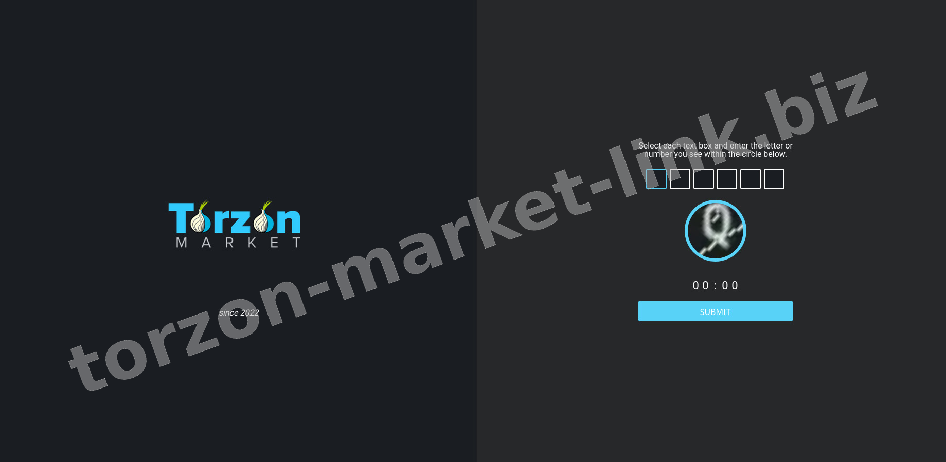 DDoS Protection Screen